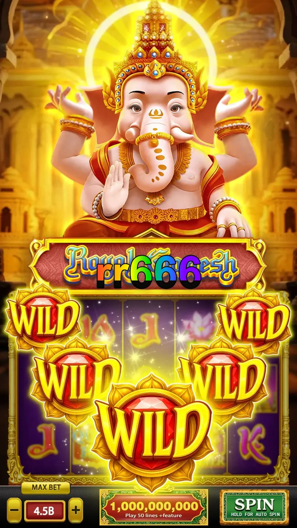 rr666 APK